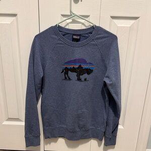 Patagonia Blue Graphic Women’s Pullover Sweatshirt
